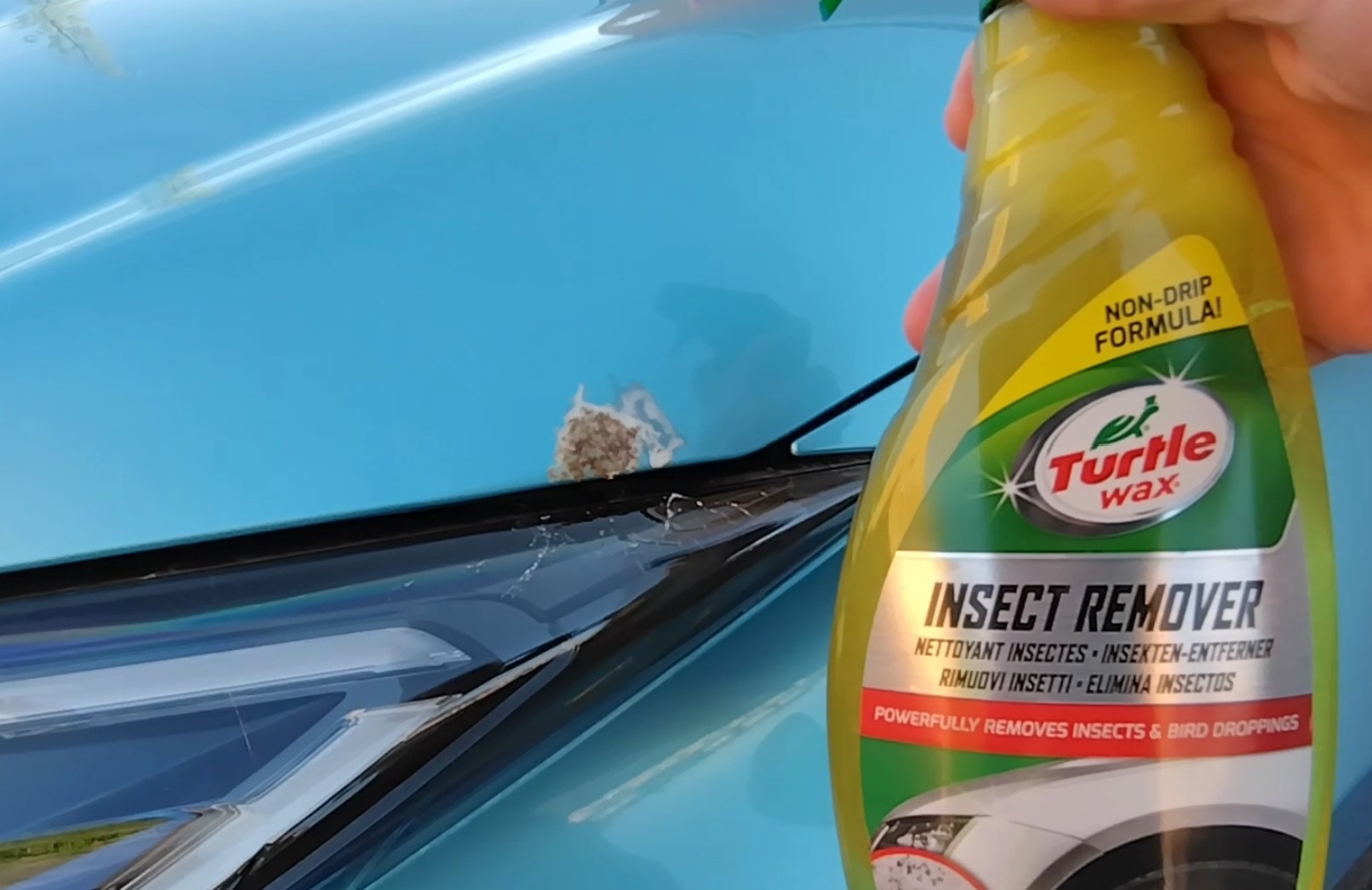 Bird poop insect Weapon of Mass Destruction Turtle Wax